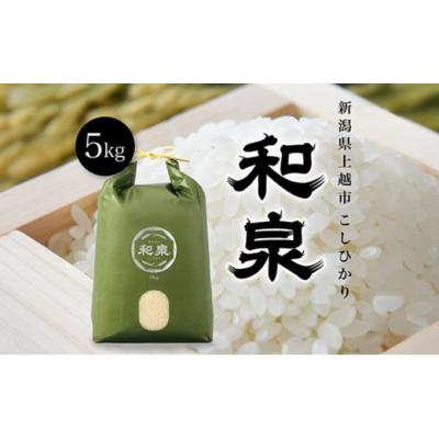ふるさと納税 米 コシヒカリ 新潟県 上越市 新米 令和7年 新潟県上越産 こしひかり『和泉』5kg 5キロ 上越市 精米 米 ギフト 喜ばれる