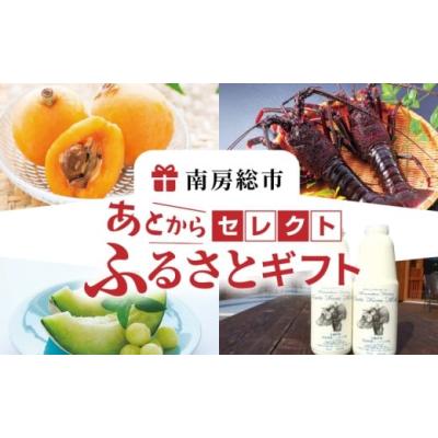 ふるさと納税 カタログ 千葉県 南房総市 あとからセレクト ふるさとギフト 30,000円 mi0000-0003 ギフト チケット ギフトコード 交換 ポイント あとから