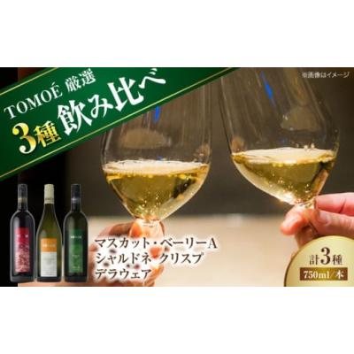 ふるさと納税 ワイン 広島県 三次市  お歳暮ギフト対象 ワイン飲み比べ 〜TOMOE 厳選3種〜おすすめ飲み比べ3種セット 受賞 ワインセット お酒 地酒 洋酒 テイ…
