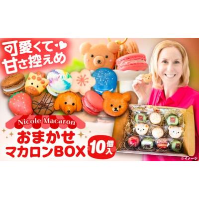 ふるさと納税 焼菓子・チョコレート マカロン 愛知県 愛西市  お歳暮ギフト おまかせ マカロン ボックス 10個入 マカロン 焼菓子 スイーツ 愛西市 ／ ニコール…