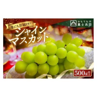 ふるさと納税 ぶどう マスカット 山梨県 富士吉田市  お年賀に届く ジューシーで甘さ抜群　厳選シャインマスカット500g 2026年1月発送 お年賀にお届け 2026年1…
