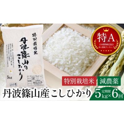 ふるさと納税 米 コシヒカリ 兵庫県 丹波篠山市  定期便・令和8年早期予約 特Aランク 特別栽培米 コシヒカリ　5kg（全6回） 兵庫県 丹波篠山市 白米 100％単一…