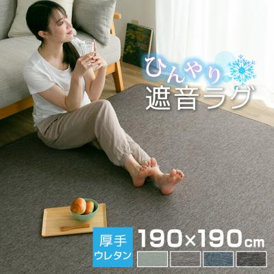 ラグ 冷感ラグ 厚手 2畳 おしゃれ 190×190 ひんやり 接触冷感 ラグマット 夏用 絨毯 カーペット マット 洗える ラグカーペット 夏 防音 抗菌防臭 正方形