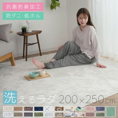 ラグ カーペット 洗える 3畳 おしゃれ オールシーズン 200×250 防ダニ ラグマット 滑り止め付 フランネル ホットカーペット 床暖房対応 北欧 洗えるラグ