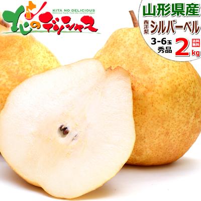 【終了間近】 山形県産 西洋梨 シルバーベル 2kg (秀品/3玉〜6玉入り) 2026 旬 洋梨 冬ギフト お歳暮 ギフト 贈り物 贈答 のし 果物 フルーツ お取り寄せ