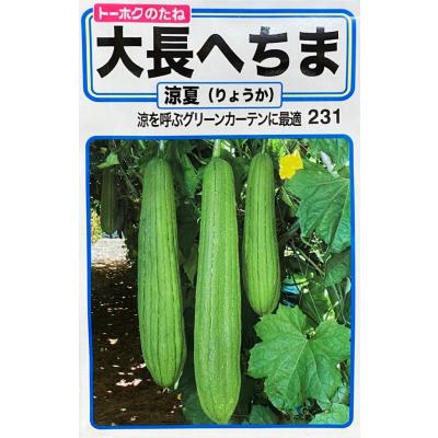 大長 ヘチマ 涼夏 りょうか グリーンカーテン 種 最安値 価格比較 Yahoo ショッピング 口コミ 評判からも探せる