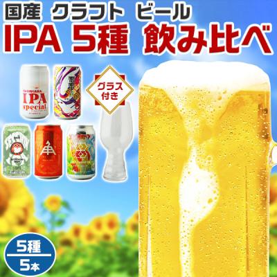 ビール 国産 クラフトビール BEER 地ビール 5種各1本 IPA 5種 飲み比べ セット 専用グラス付 合計5本入 ギフト  父の日 送料無料 309751