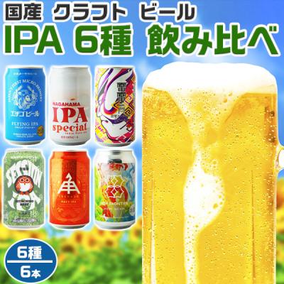 ビール 国産 クラフトビール BEER 地ビール 6種各1本 IPA 6種 飲み比べ セット 合計6本入 ギフト アルコール 父の日 送料無料 309756