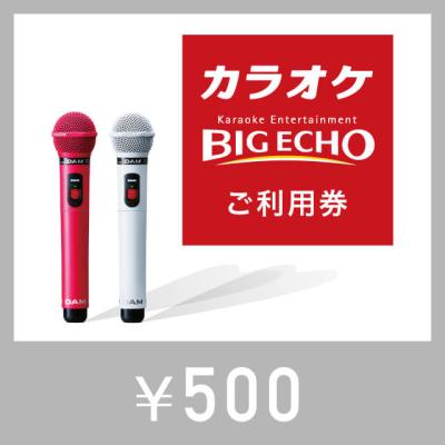 カラオケ ビッグエコー　デジタルご利用券（500円）