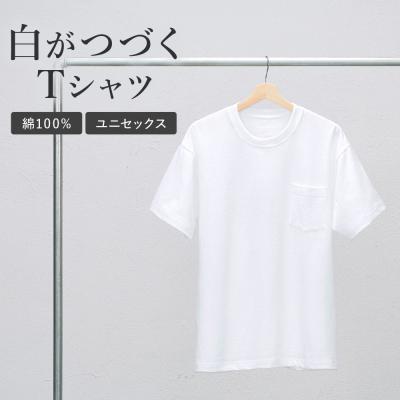 グンゼ Tシャツ メンズ レディース 綿100 白T 半袖 ユニセックス 本体 コットン 黄ばみにくい 皮脂汚れ防止 消臭 吸湿 吸汗 定番 着回し