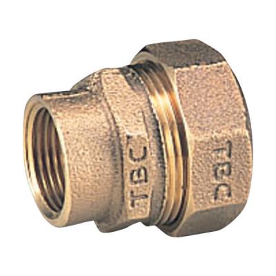 タブチ TBC PE継手メネジ1種13mm 13PGV-1 1個 282-2881（直送品）