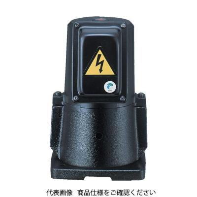 テラル TERAL クーラントポンプ(自吸型) VKN-095A 1台 387-2319（直送品）