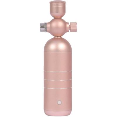 LOHACO - 大河商事 リッチミストガン 化粧水噴霧 20ml マイクロ