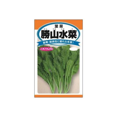 水菜商品 LOHACO - 水菜（屋外用品・ガーデニング）の商品一覧｜通販