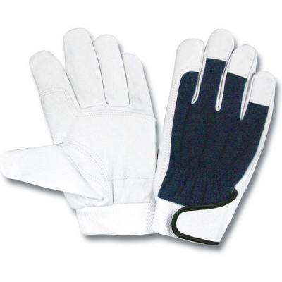 富士グローブ D-1581 フリーサイズ 10双セット 4952558154406 1セット(10双)（直送品）