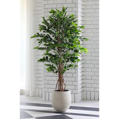 エルブレイン リアルなフェイクグリーン おすすめ ベンジャミン(大)H165cm LB24011 1本（直送品）