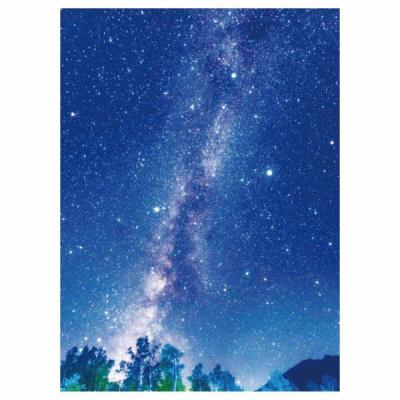 ストア・エキスプレス バックグラウンドシート 七夕天の川 175×240cm 8798-8086 1枚 55-6-7-1（直送品）