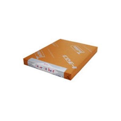 SAKAEテクニカルペーパー シルバーケント紙 Sー180ーB5(規) S-180-B5(キ) 1セット(100枚)（直送品）