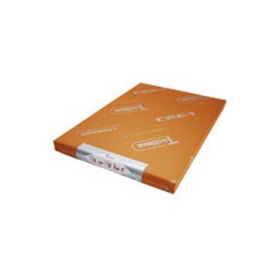 SAKAEテクニカルペーパー シルバーケント紙 Sー180ーB4(規) S-180-B4(キ) 1セット(100枚)（直送品）