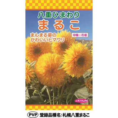 日本農産種苗 八重ひまわり 4960599470188 1セット(5袋入)（直送品）