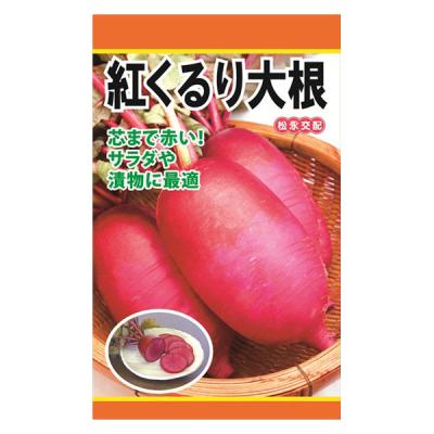 日本農産種苗 紅くるり大根 4960599191809 1セット(3袋入)（直送品）