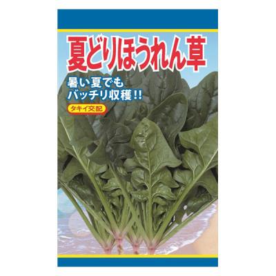 日本農産種苗 夏どりほうれん草 4960599190208 1セット(5袋入)（直送品）