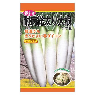 日本農産種苗 春まき耐病総太り大根(つや風) 4960599191700 1セット(3袋入)（直送品）