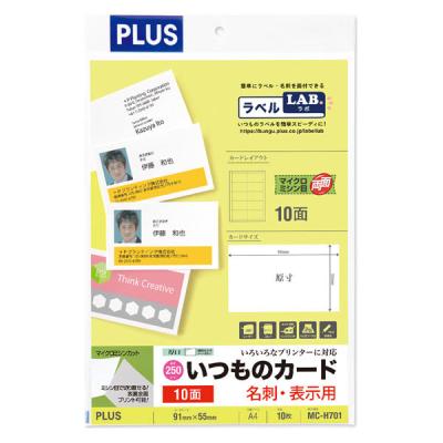 プラス いつものカード名刺・表示用 普通紙厚口 10シート入(100片) 46561 1袋（直送品）