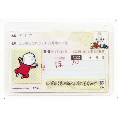 PHP研究所 PHP マイナンバーカードケースしばらくあかちゃんになりますので 71467 1セット(1個×5)（直送品）