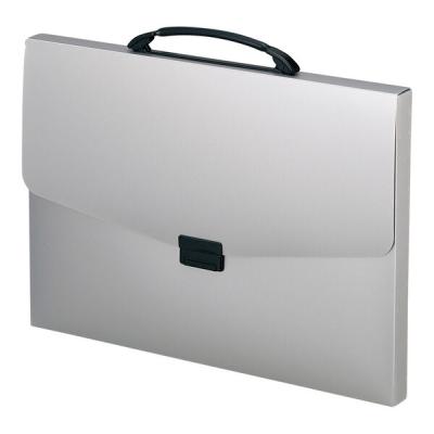 リヒトラブ リヒト ポートフォリオ・ナスカフレックスA3 シルバー F1622 1冊（直送品）