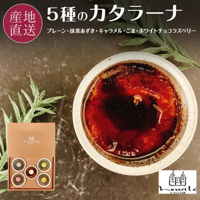 FUJI 5種の濃厚カタラーナ スイーツギフト 1箱（直送品）