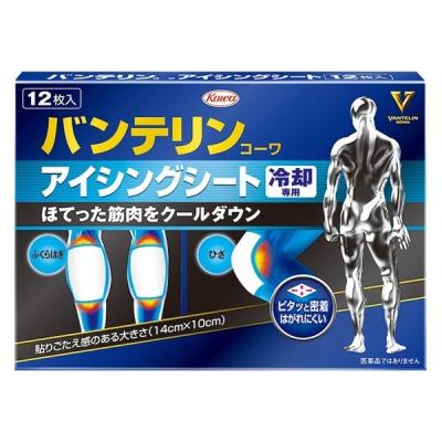 興和 バンテリンコーワアイシングシート 4987973213988 1個(12枚)（直送品）