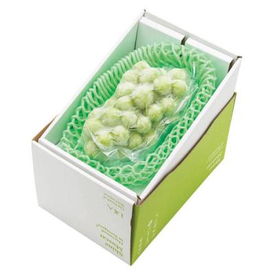 シャディ まるごとフローズン シャインマスカット 26-6407-138 1箱（直送品）