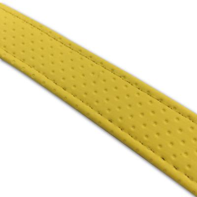 GRONDEMENT  汎用レザーベルト(タンデムベルト)/汎用レザーベルト(タンデムベルト等) T4625C250S0 1本（直送品）