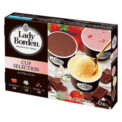 ロッテ [アイス] レディーボーデンマルチカップセレクション 450ml×10箱 4953823384689 1セット(450ml×10)（直送品）