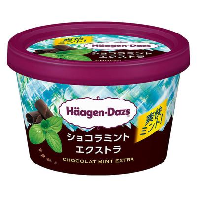 ハーゲンダッツ ジャパン [アイス] ショコラミント エクストラ 110ml×24個 4976994207199 1セット(24個)（直送品）