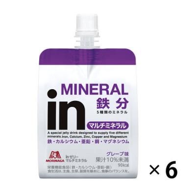 inゼリー（インゼリー） マルチミネラル グレープ味 1セット（1個（180g）×6） 鉄分 栄養機能食品 森永製菓