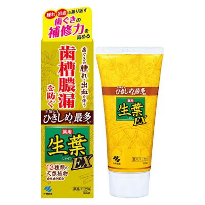 歯磨き粉 生葉EX（しょうようEX） 歯槽膿漏を防ぐ 薬用ハミガキ ハーブミント味 100ｇ 小林製薬