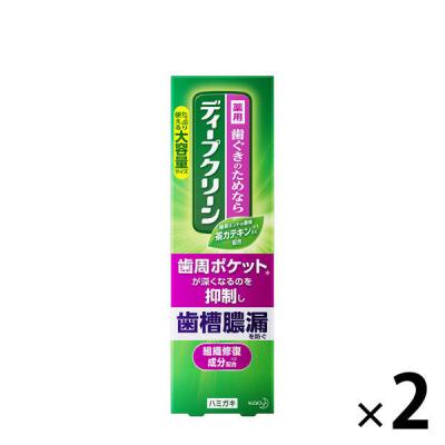 歯磨き粉 歯槽膿漏 ディープクリーン 薬用ハミガキ 大容量 160g 1セット（2本）花王 歯槽膿漏・歯肉炎・口臭予防