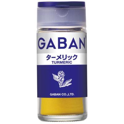 GABAN ギャバン ターメリック 1個 ハウス食品