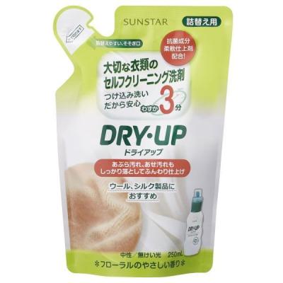 DRY・UP（ドライアップ） 詰め替え 250ml 1個 衣料用洗剤 サンスター