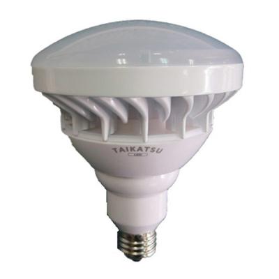 【アウトレット】鯛勝産業 LEDランプ 20W TK-LED200LP 1個
