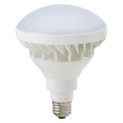 【アウトレット】東京メタル工業 屋外用レフランプ型LED LDR18N200-TM 1個