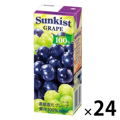 LOHACO - サントリー 伊右衛門 京都レモネード 525ml 1箱（24本入）