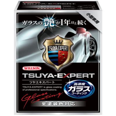 【アウトレット】ウイルソン ツヤエキスパート小型車用 01253 1個