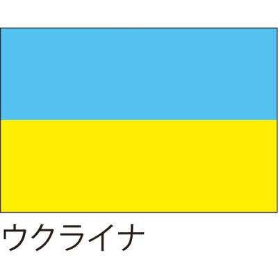 【アウトレット】服部 応援・装飾用旗 ウクライナ 105×70cm ポンジ flag0031 1枚