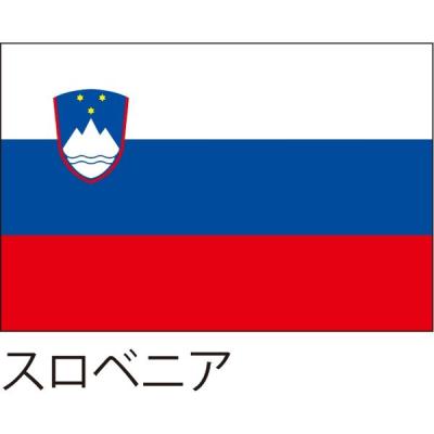 【アウトレット】服部 応援・装飾用旗 スロベニア 135×90cm ポンジ flag0092 1枚