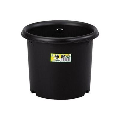 【アウトレット】グリーンパル 菊鉢 5号 1個