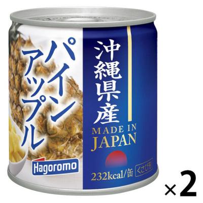 缶詰 沖縄県産 パインアップル 295g 1セット（2個） はごろもフーズ