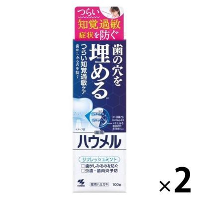 歯磨き粉 ハウメル 知覚過敏ケア 薬用ハミガキ 歯の穴を埋める 100g 1セット（2本） 小林製薬